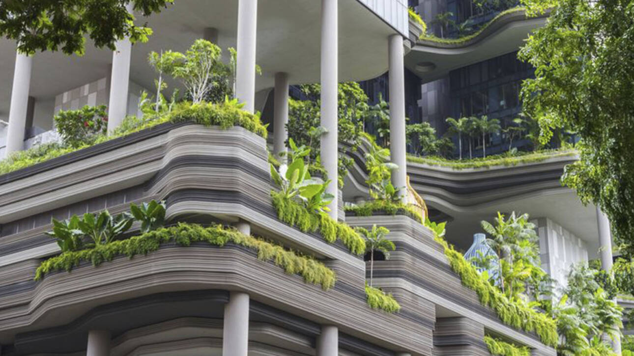 What is a green building